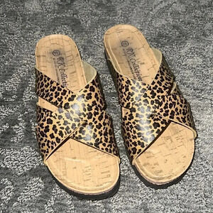 •RK Collection• ​​